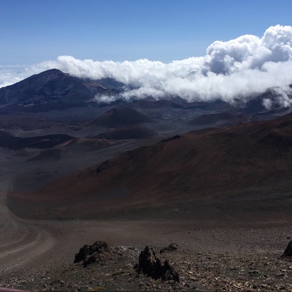 Meet your Posher, Jaelyn - Picture 1 of 1